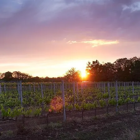 Agriturismo Eco-Bio Villa Vacasio Lantgård *